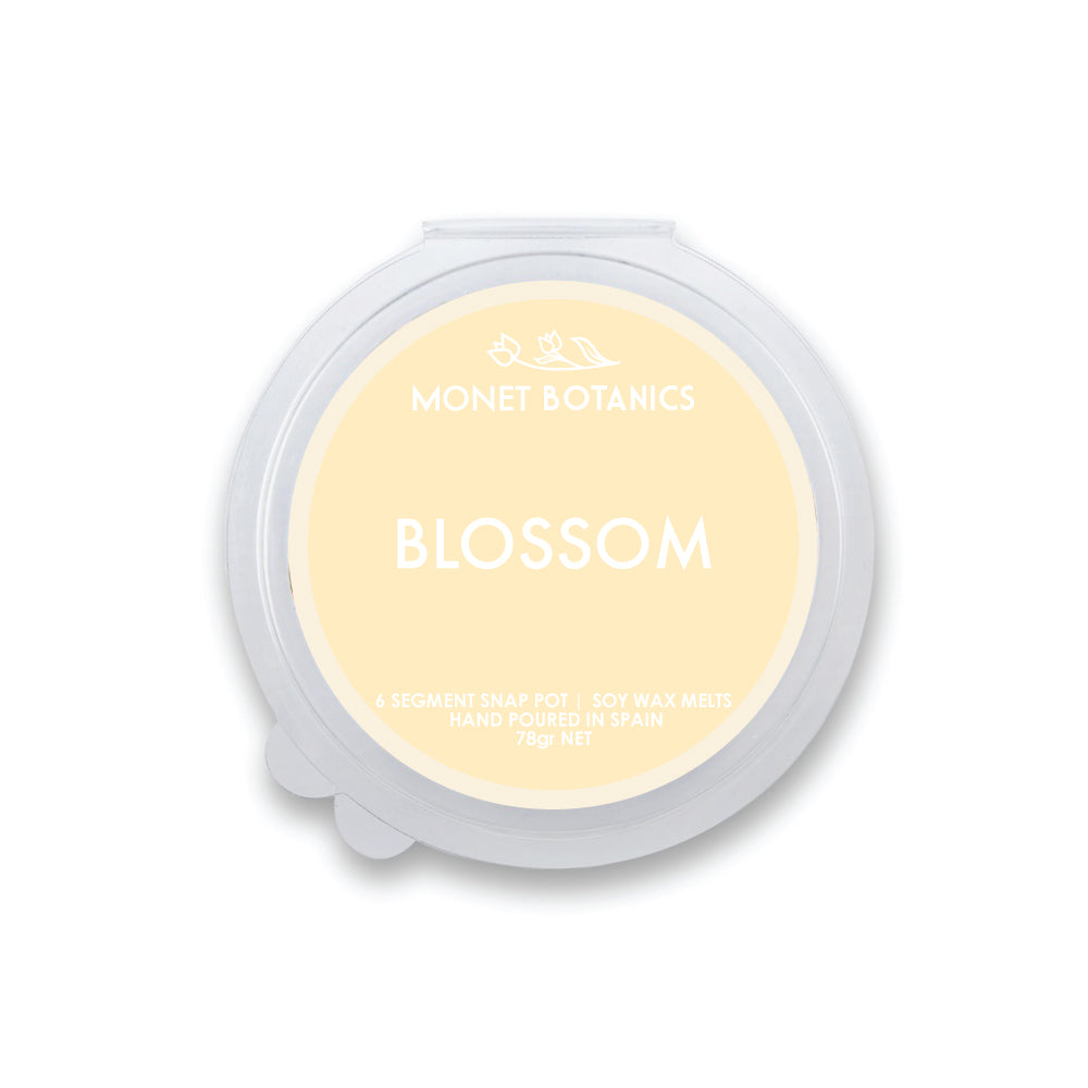Blossom 78gr Snap Pot Melt
