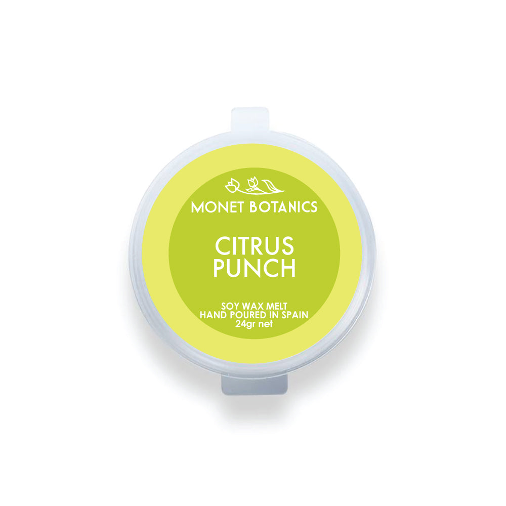 Citrus Punch 24gr shot pot Melt