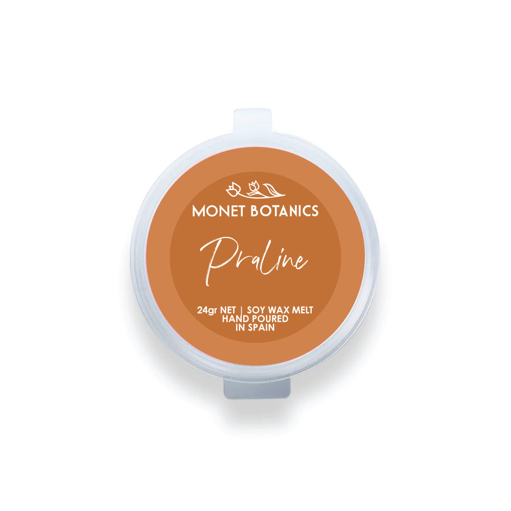 Praline 24gr Shot Pot Melt