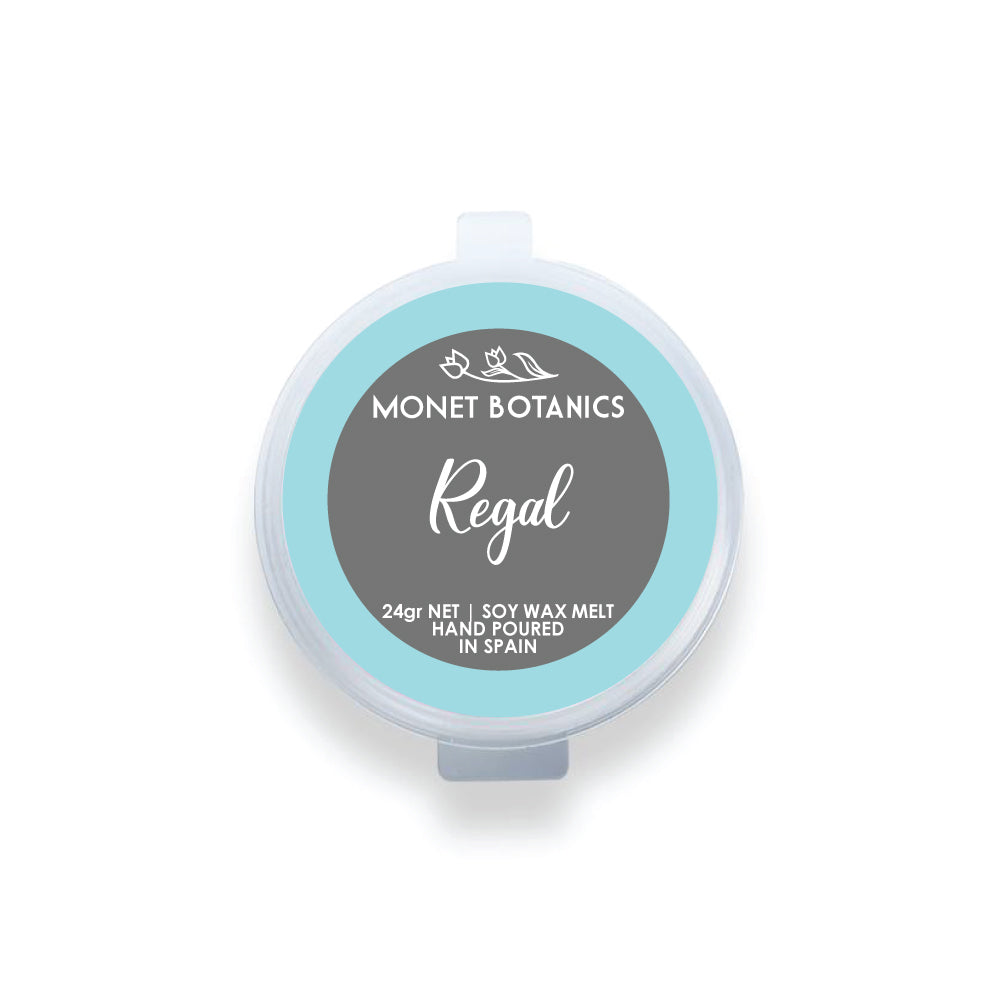 Regal 24gr Shot Pot Melt