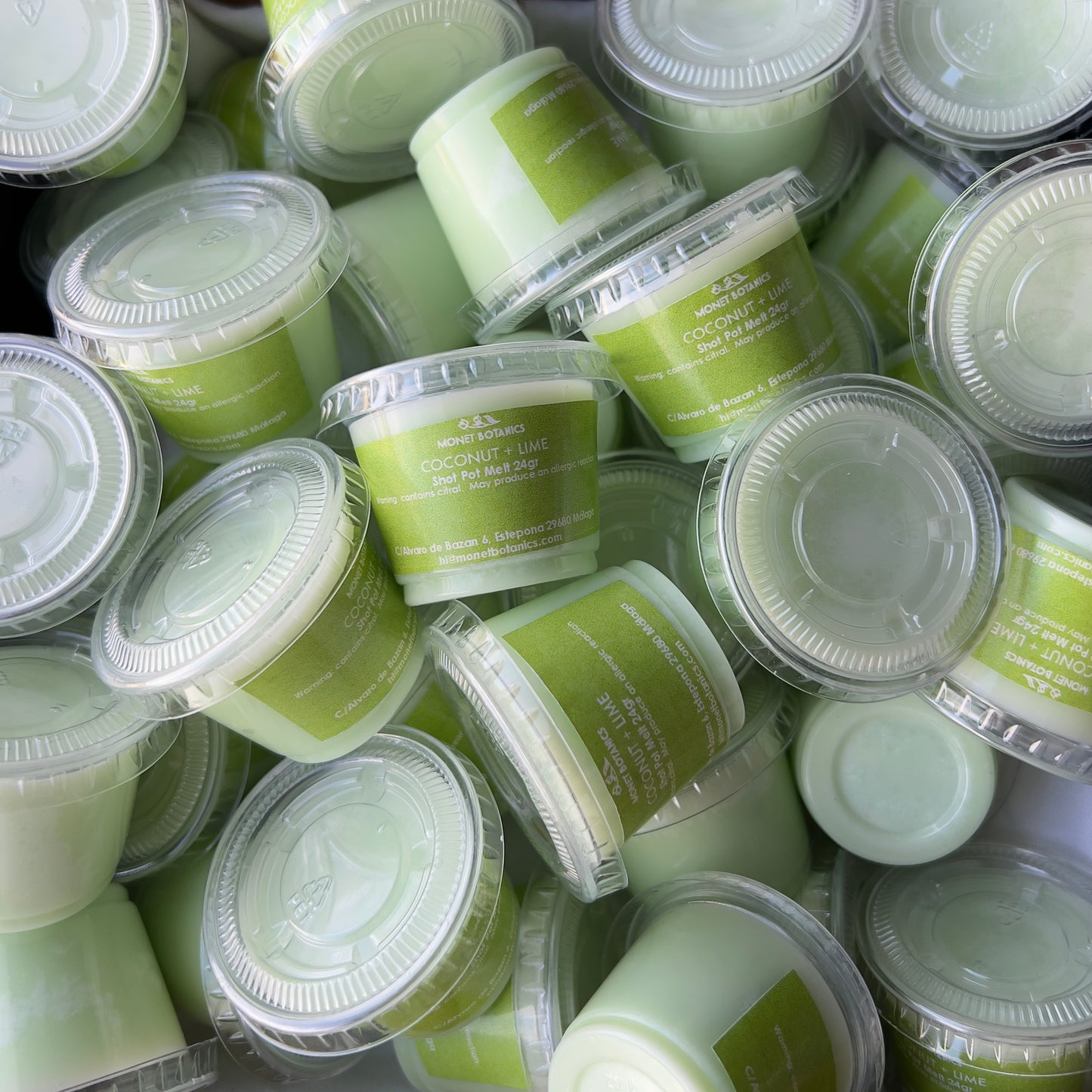 Coconut + Lime 24gr Shot Pot Melt