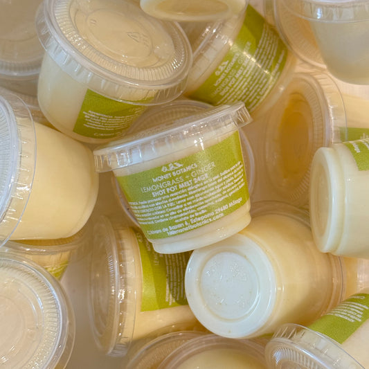 Lemongrass + Ginger 24gr shot pot Melt