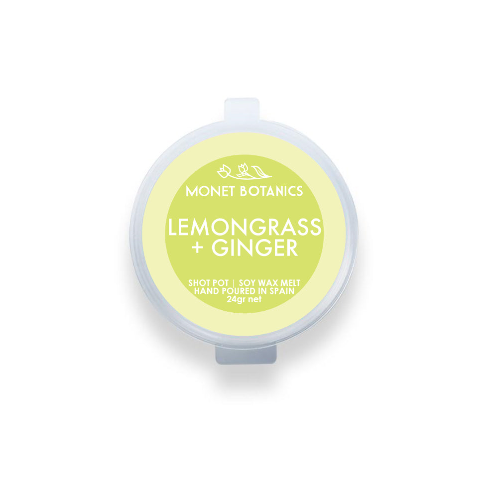 Lemongrass + Ginger 24gr shot pot Melt