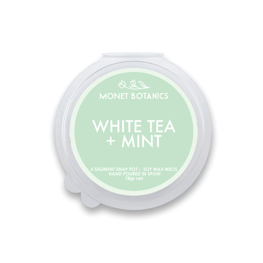 White Tea + Mint 78gr Snap Pot Melt